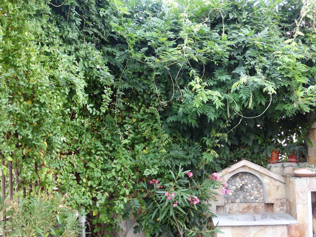 Guest House Ivel Sapareva Banya Exterior foto
