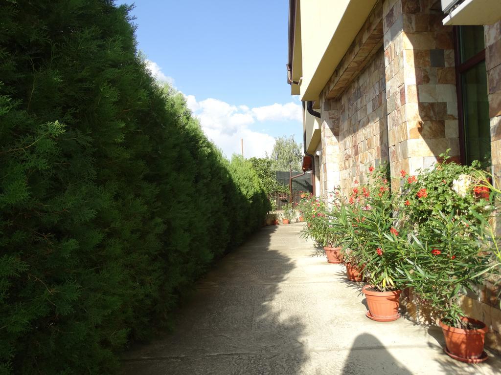 Guest House Ivel Sapareva Banya Exterior foto